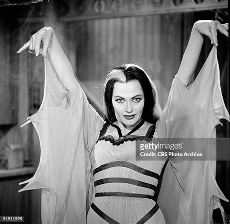 yvonne de carlo pictures|548 Yvonne De Carlo Photos Stock Photos & High。